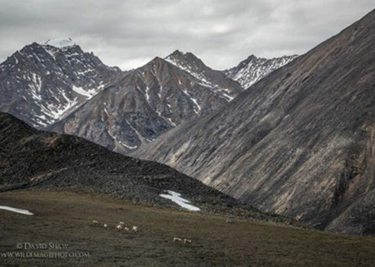 Waterfall in rocky landscape