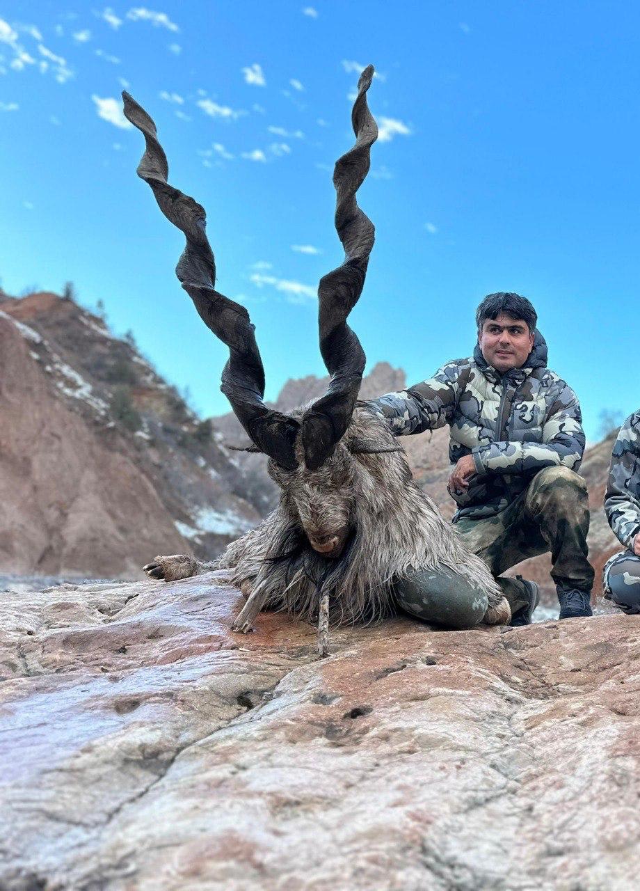 Hunter with bukhara markhor hunts trophy