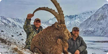 Hunter with marco polo and pamir ibex hunts trophy
